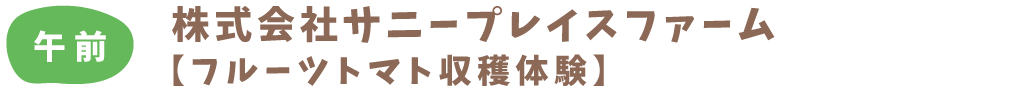 午前：株式会社サニープレイスファーム【フルーツトマト収穫体験】